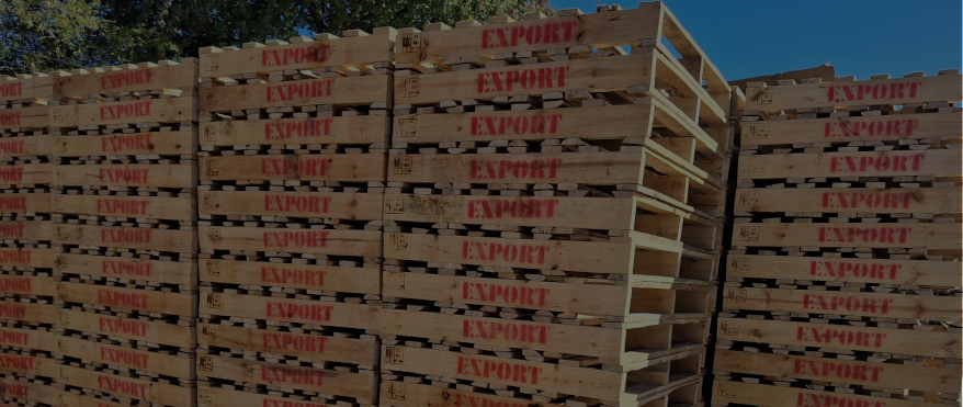 Pallets for export